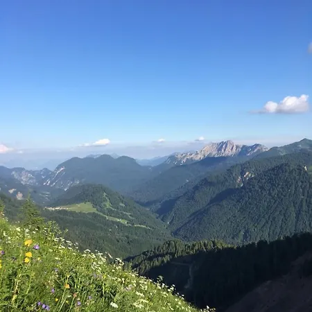 Pa' Mairlan サウリス