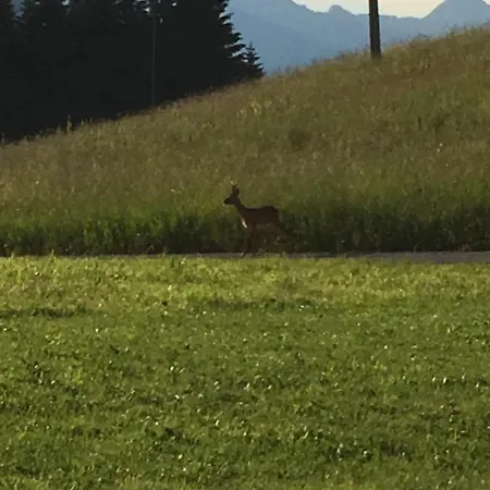 Pa' Mairlan